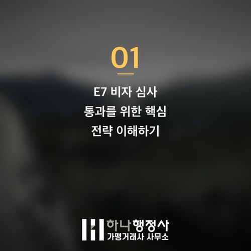 E7 비자 발급의 핵심 전략: 성공적인 비자 확보를 위한 전문적 접근 방안 E7 비자 발급의 핵심 전략: 성공적인 비자 확보를 위한 전문적 접근 방안 - 이미지 2