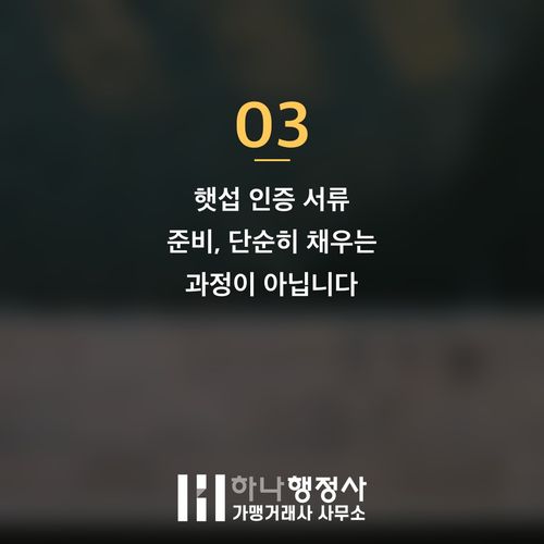 성공적인 햇섭 인증 획득을 위한 체계적인 인허가 컨설팅 전략 성공적인 햇섭 인증 획득을 위한 체계적인 인허가 컨설팅 전략 - 이미지 4