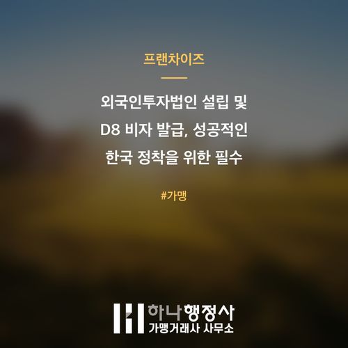 외국인투자법인 설립 및 D8 비자 발급, 성공적인 한국 정착을 위한 필수 전략 가이드 - 이미지 1
