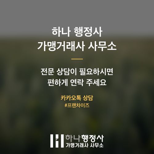 외국인 투자비자, 단순 서류 제출을 넘어 성공적인 사업 기반을 구축하는 전략적 접근법 - 이미지 5