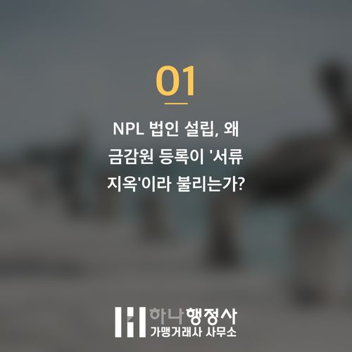 NPL 법인 금감원 등록, 서류 절차 오류를 막는 전문 가이드 - 이미지 2