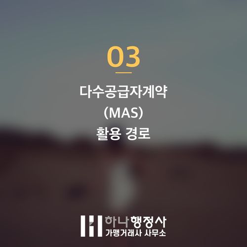 공공조달 시장 진출 가이드: 나라장터 종합쇼핑몰 성공 등록을 위한 전략적 접근 공공조달 시장 진출 가이드: 나라장터 종합쇼핑몰 성공 등록을 위한 전략적 접근 - 이미지 4