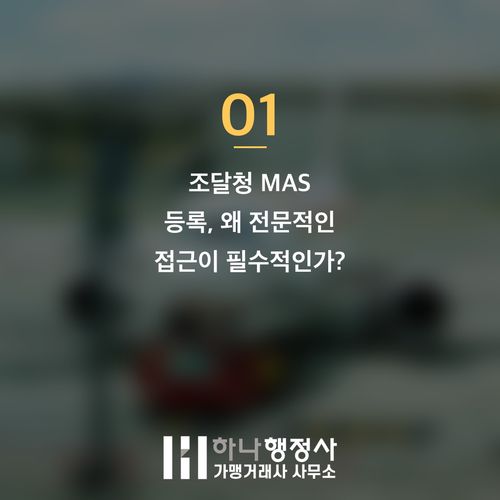 나라장터 MAS 등록 성공을 위한 체계적인 전략 로드맵 제시 - 이미지 2