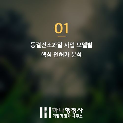 동결건조과일 창업 성공 전략: 사업 규모별 필수 인허가 완벽 가이드 - 이미지 2