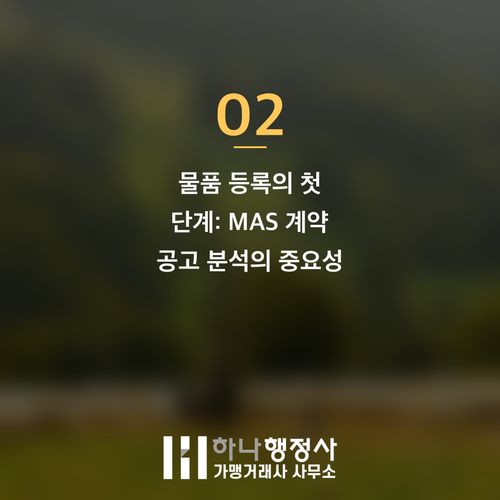 나라장터 물품등록 성공 전략: MAS 계약 적격성 평가 완벽 가이드 - 이미지 3