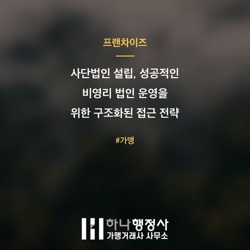 사단법인 설립, 성공적인 비영리 법인 운영을 위한 구조화된 접근 전략 - 이미지 1