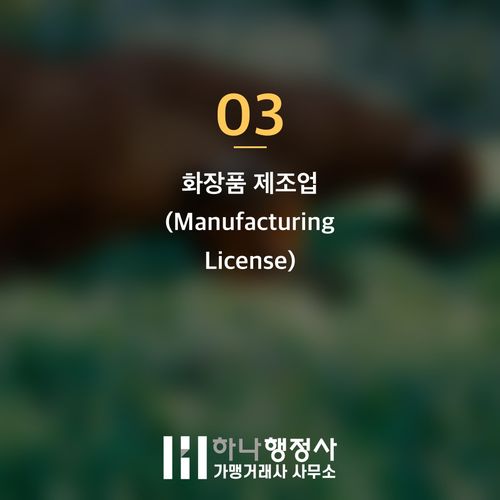 화장품 제조 사업을 위한 필수 인허가 이해: 병원 연계 화장품 성공 전략 가이드 - 이미지 4