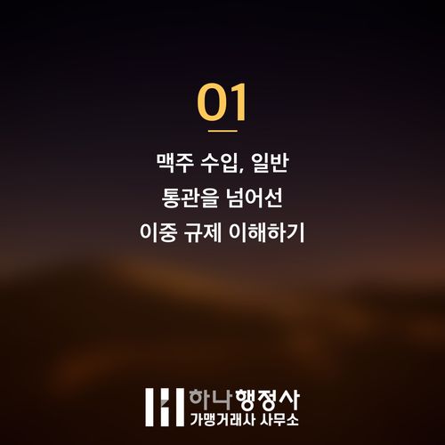 성공적인 맥주 수입을 위한 주류 인허가 절차 완벽 가이드 - 이미지 2