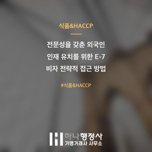 전문성을 갖춘 외국인 인재 유치를 위한 E-7 비자 전략적 접근 방법 - 이미지 1
