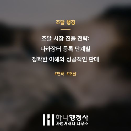 조달 시장 진출 전략: 나라장터 등록 단계별 정확한 이해와 성공적인 판매 채널 구축 방안 - 이미지 1
