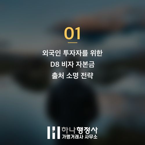 D8 비자 성공적 취득을 위한 필수 검토 사항: 투자 자금 출처 증빙 완벽 가이드 - 이미지 2