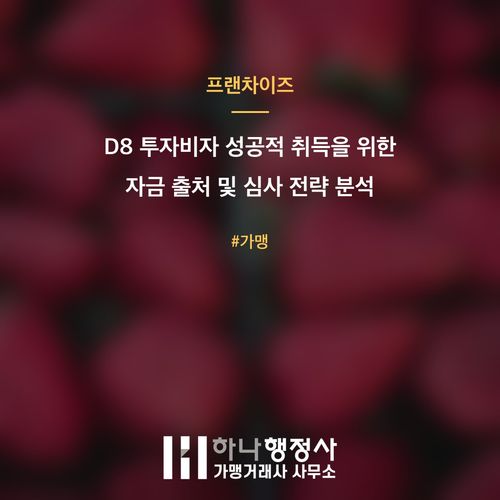 D8 투자비자 성공적 취득을 위한 자금 출처 및 심사 전략 분석 - 이미지 1