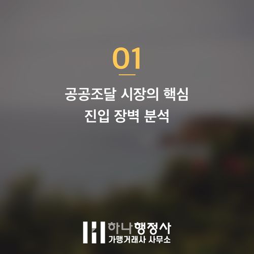 공공조달 시장 진입 가이드: 벤처나라 등록을 위한 필수 전략과 절차 - 이미지 2