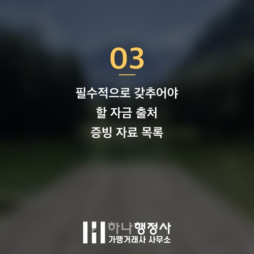 D8 비자 성공적 취득을 위한 필수 검토 사항: 투자 자금 출처 증빙 완벽 가이드 - 이미지 4