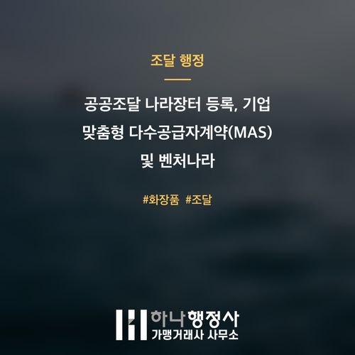 공공조달 나라장터 등록, 기업 맞춤형 다수공급자계약(MAS) 및 벤처나라 진입 전략 - 이미지 1