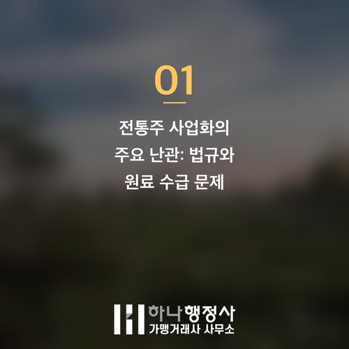서울 지역 전통주 제조 면허 취득, 성공적인 사업화를 위한 전략적 로드맵 제시 - 이미지 2
