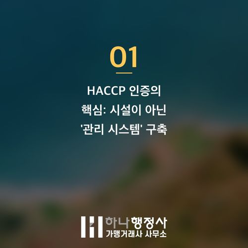 HACCP 인증, 고비용 시설 공사만이 답이 아닙니다: 식품 안전 시스템 구축의 본질적 접근법 HACCP 인증, 고비용 시설 공사만이 답이 아닙니다: 식품 안전 시스템 구축의 본질적 접 - 이미지 2