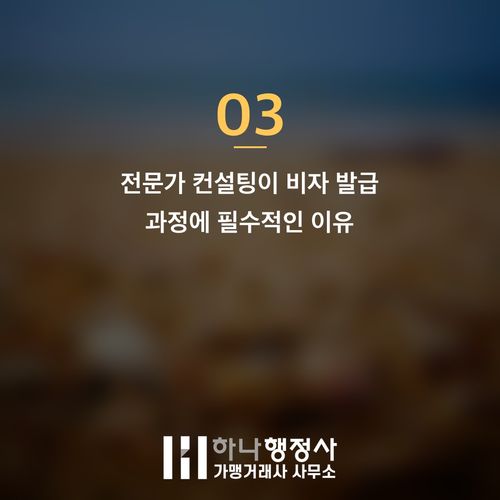 E7 비자 발급의 핵심 전략: 성공적인 비자 확보를 위한 전문적 접근 방안 E7 비자 발급의 핵심 전략: 성공적인 비자 확보를 위한 전문적 접근 방안 - 이미지 4