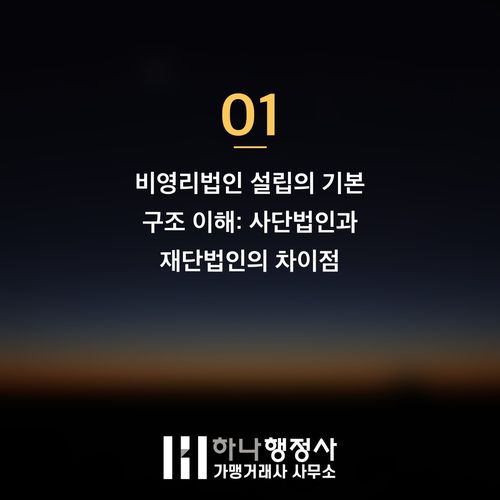 비영리법인 설립 성공을 위한 필수 컨설팅 로드맵: 사단법인과 공익법인 지정 전략 - 이미지 2