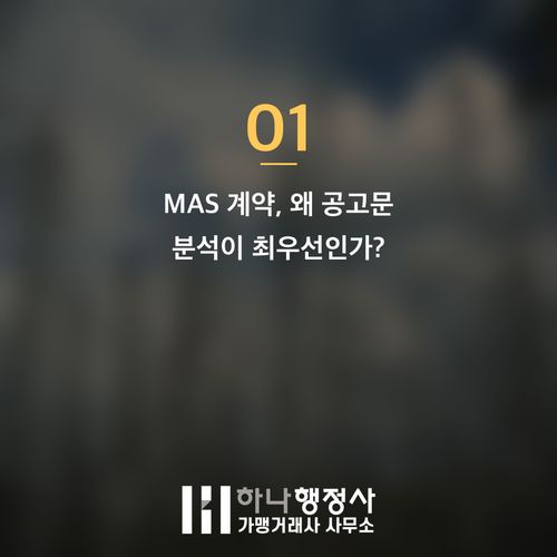 조달청 나라장터 MAS 계약 성공 전략: 공고문 분석을 통한 공공조달 시장 진입 가이드 조달청 나라장터 MAS 계약 성공 전략: 공고문 분석을 통한 공공조달 시장 진입 가이드 - 이미지 2