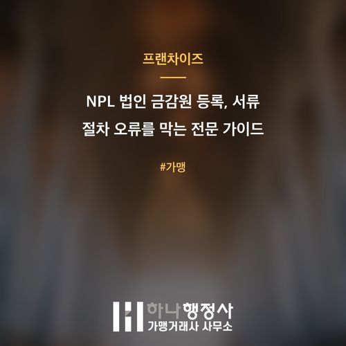 NPL 법인 금감원 등록, 서류 절차 오류를 막는 전문 가이드 - 이미지 1