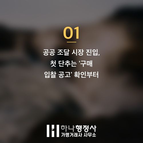 다수공급자계약(MAS), 성공적인 공공 조달 시장 진입을 위한 필수 전략 진단 다수공급자계약(MAS), 성공적인 공공 조달 시장 진입을 위한 필수 전략 진단 - 이미지 2