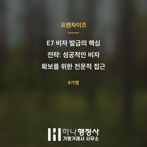 E7 비자 발급의 핵심 전략: 성공적인 비자 확보를 위한 전문적 접근 방안 E7 비자 발급의 핵심 전략: 성공적인 비자 확보를 위한 전문적 접근 방안 - 이미지 1