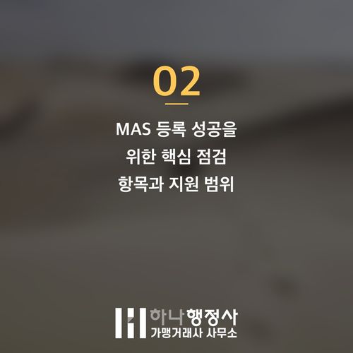 나라장터 MAS 등록 성공을 위한 체계적인 전략 로드맵 제시 - 이미지 3