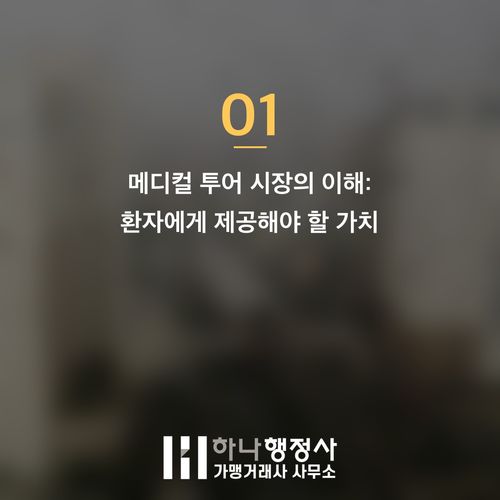 외국인 환자 유치 사업 성공을 위한 필수 전략: 의료 서비스와 여행업 인허가 동시 확보 방 - 이미지 2