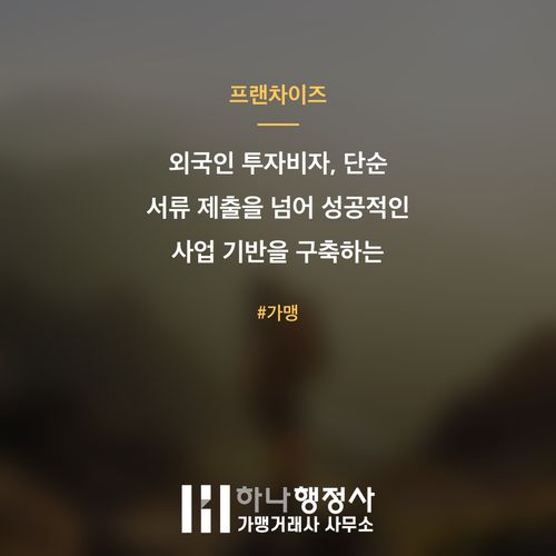 외국인 투자비자, 단순 서류 제출을 넘어 성공적인 사업 기반을 구축하는 전략적 접근법 - 이미지 1