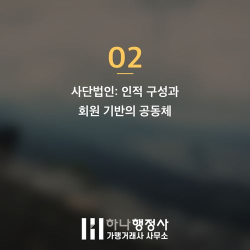 비영리법인 설립 성공을 위한 필수 컨설팅 로드맵: 사단법인과 공익법인 지정 전략 - 이미지 3