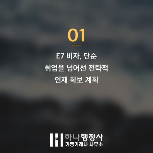 E7 비자 성공 전략: 단순 스펙을 넘어 기업의 필요성을 입증하는 방법 - 이미지 2