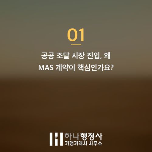 나라장터 물품등록 성공 전략: MAS 계약 적격성 평가 완벽 가이드 - 이미지 2