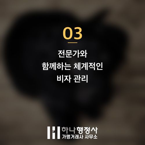 성공적인 E-7 비자 연장, 출입국 심사 전문가의 전략적 지원이 필수인 이유 성공적인 E-7 비자 연장, 출입국 심사 전문가의 전략적 지원이 필수인 이유 - 이미지 4