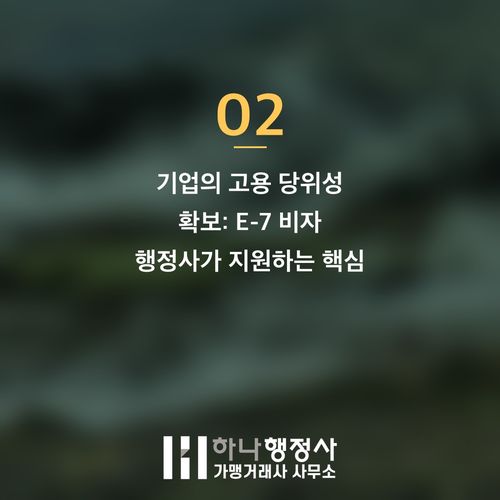 E-7 비자 취득의 핵심 가이드: 전문 인력 채용을 위한 완벽한 전략 수립 E-7 비자 취득의 핵심 가이드: 전문 인력 채용을 위한 완벽한 전략 수립 - 이미지 3