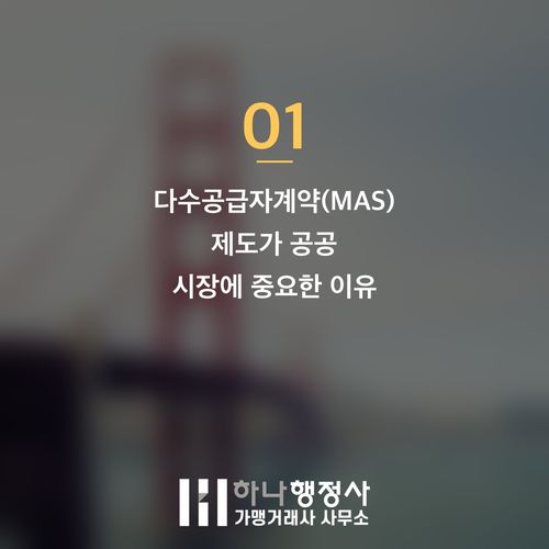 공공 조달 시장 진입의 핵심: 다수공급자계약(MAS) 성공 전략과 직접생산증명 이해 공공 조달 시장 진입의 핵심: 다수공급자계약(MAS) 성공 전략과 직접생산증명 이해 - 이미지 2