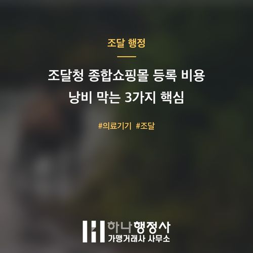 조달청 종합쇼핑몰 등록 비용 낭비 막는 3가지 핵심 - 이미지 1