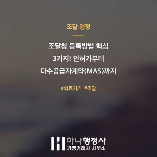조달청 등록방법 핵심 3가지! 인허가부터 다수공급자계약(MAS)까지 한번에 뚫는 실무 전략 - 이미지 1